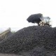 RUPS Luar Biasa Berau Coal Molor Jadi 6 Agustus